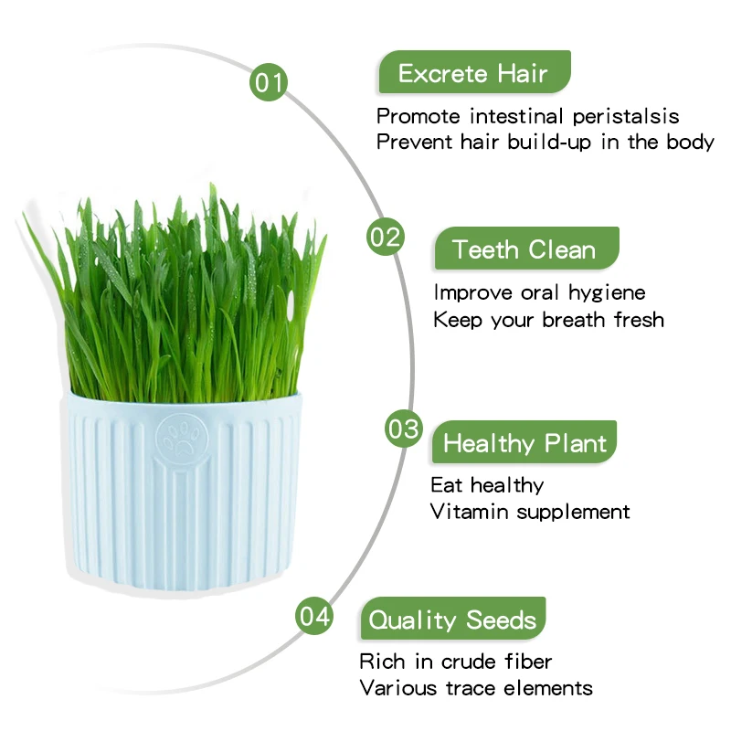 Cat Grass Seeds Grass Bag Cup Hot Sale High Quality Treats Bag Enriching Wheat Seed Pet Clean Teeth