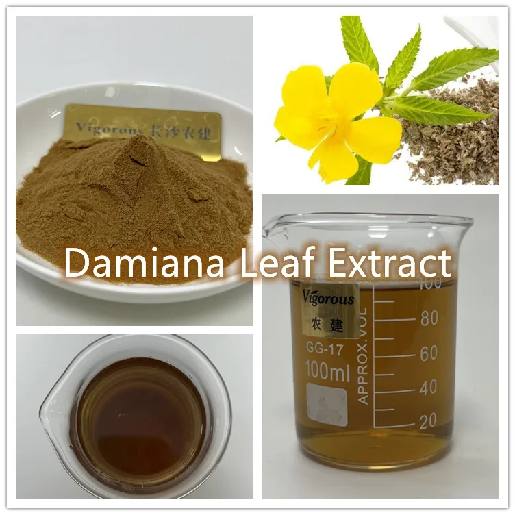 Лист Damiana хорошего качества лидер продаж в наличии образцы бесплатный экстракт листьев