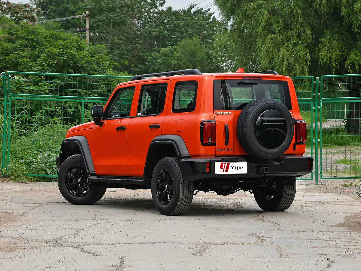 New Car Great Wall Tank 300 2024 Gasoline Cars 2.0T 4x4 Off-road SUV 48v Light Hybrid Car Automobile