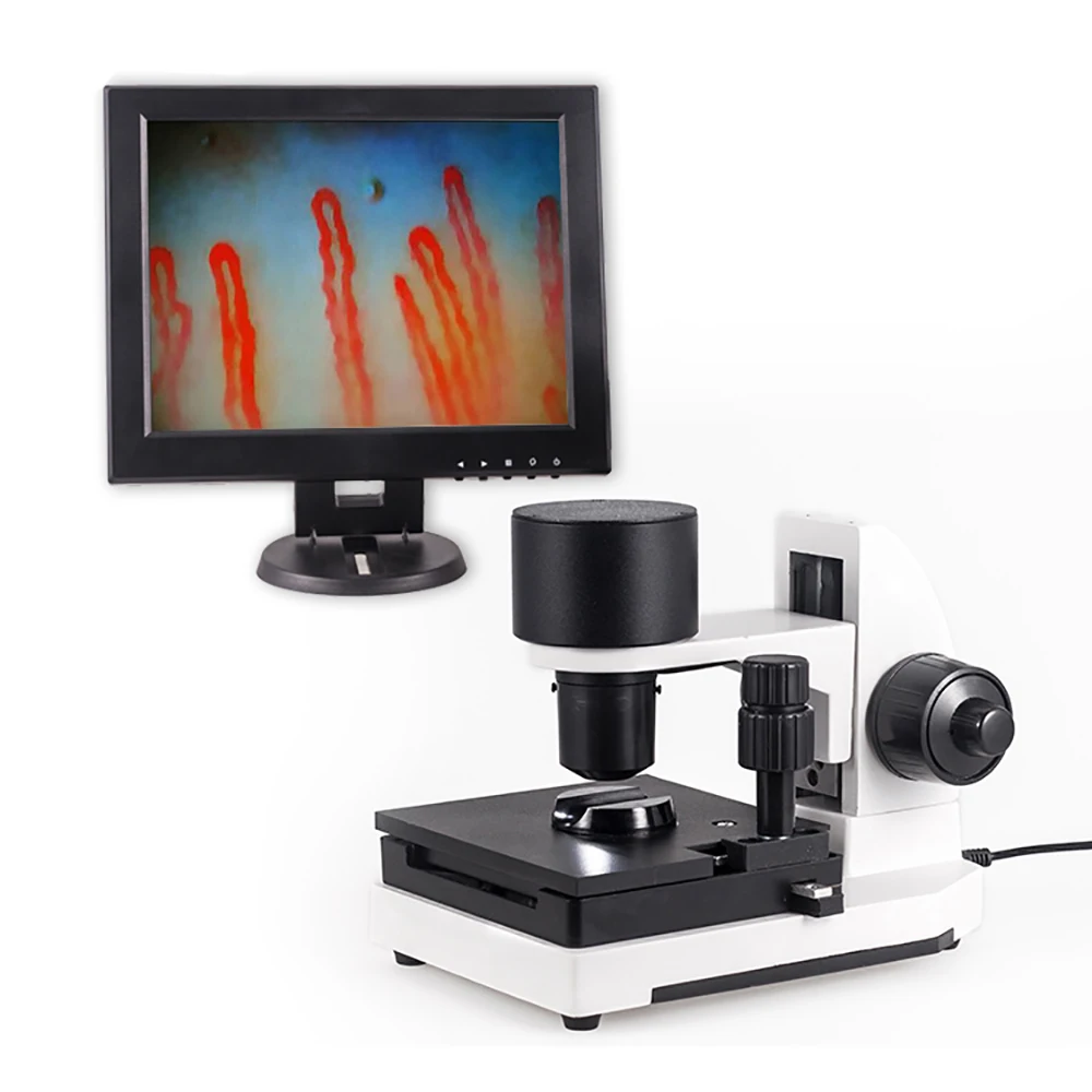 Biological microcirculation microcirculation microscope capillaroscope nail microskop 2024