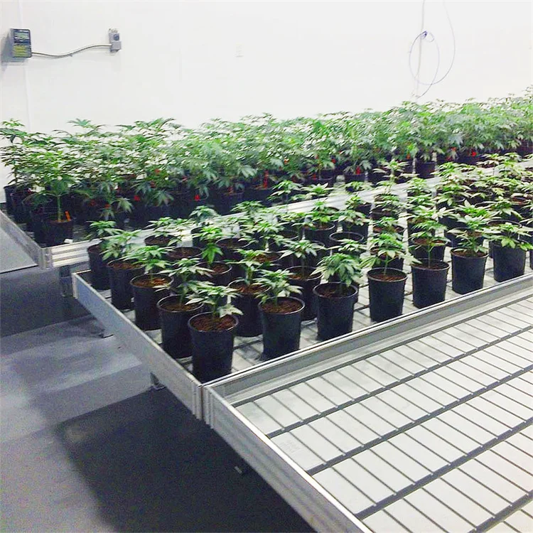 ABS plastic hydroponic flood plant nursery trolley ebb and flood greenhouse rolling bench tops flood tray