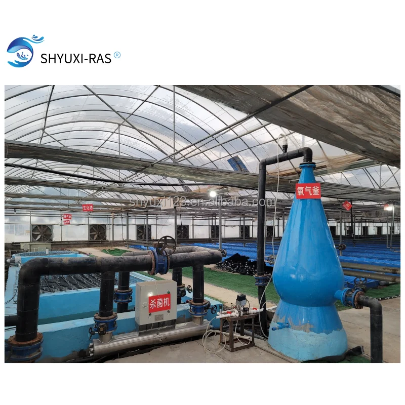
High Density Recirculating Aquaculture System salmon Farming indoor RAS 