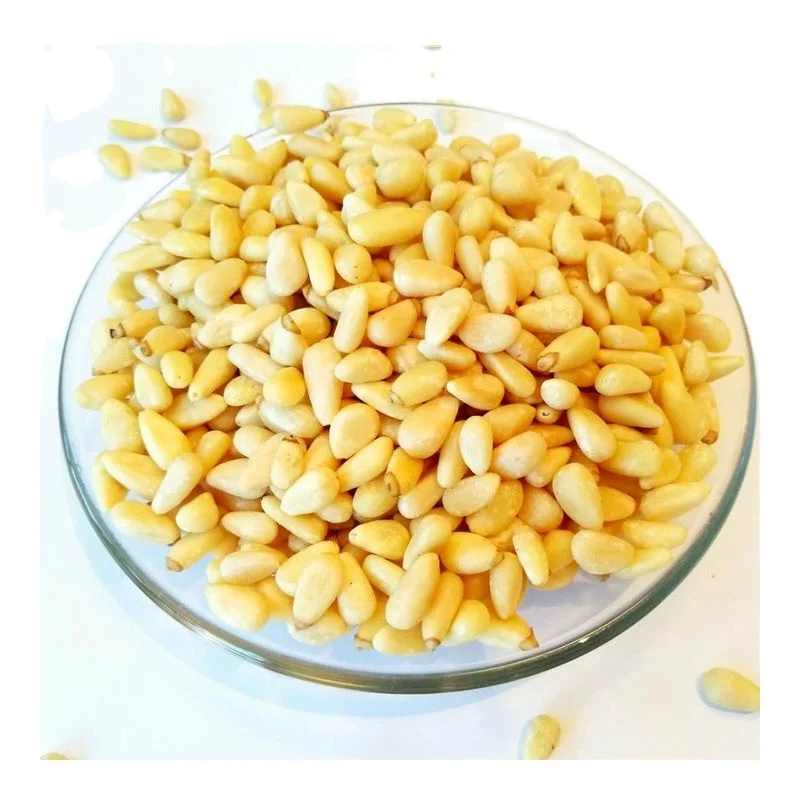 nuts raw pine nut kernel new crop wild pinenuts kernels