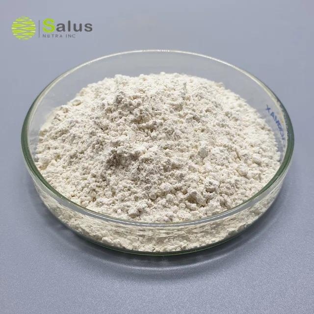 Best Price Natural 98% Naringin