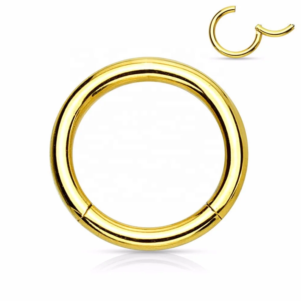 Wholesale F136 Titanium Nose Ring Ear Helix Tragus Ring Gold Hinged Segment Ringsdesigner Nose Ring Hoop