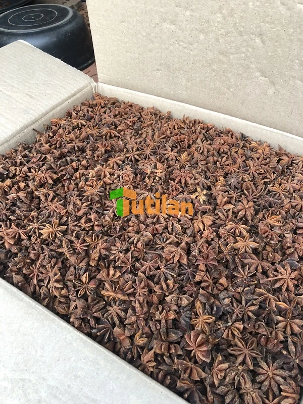 Оптовая продажа с завода самая низкая цена и лучшее качество специи приправы анис