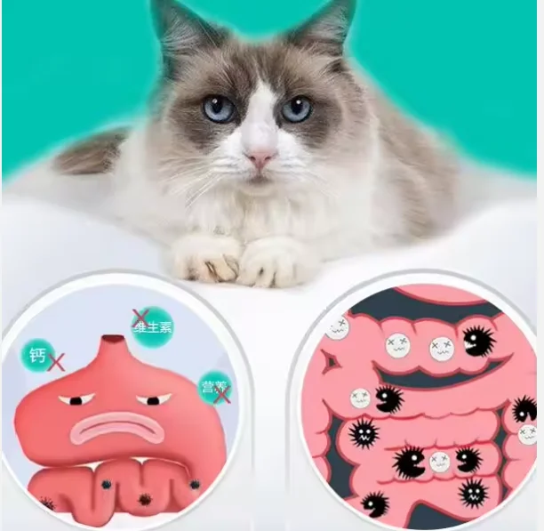 manufactural odm pet nutrition supplements for dogs diarrhea or constipation treatment regulate the stomach