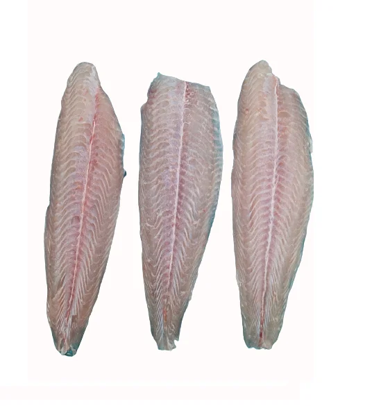 Fresh and Nutritious Untreated Pangasius fillet, well-trimmed, Chemical Free