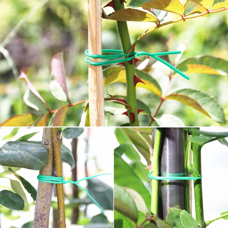 Wholesale 20/30/50/100M Plant Twist Tie Garden Plant Twist Ties Hand Tool Gardening Plant Green Twist Tie