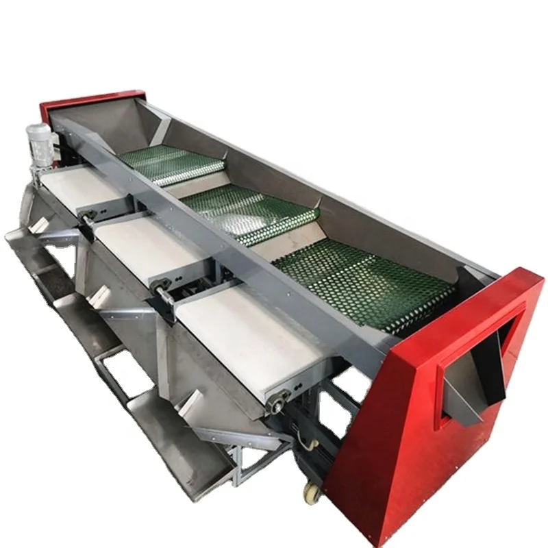 Carrot Potato Size Sorting tomato washing sorting machine
