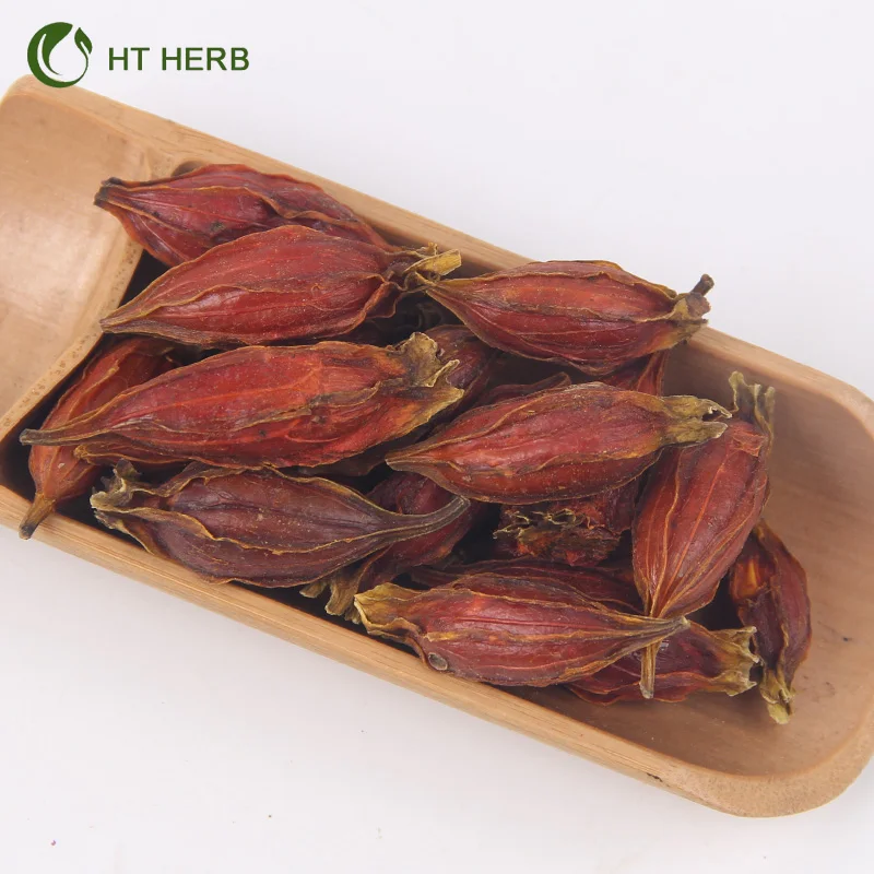 High Quality Fructus Gardeniae Natural Agricultural Product Dried Gardenia Fruits iFactory Price Arrival Dried Fructus Gardenia