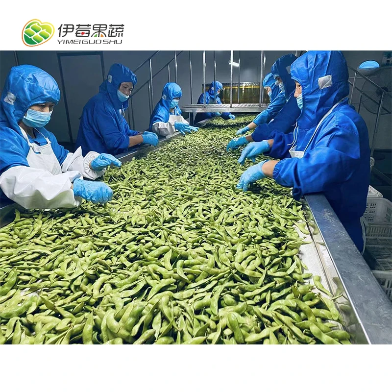 New crop cooked soybeans in freeze