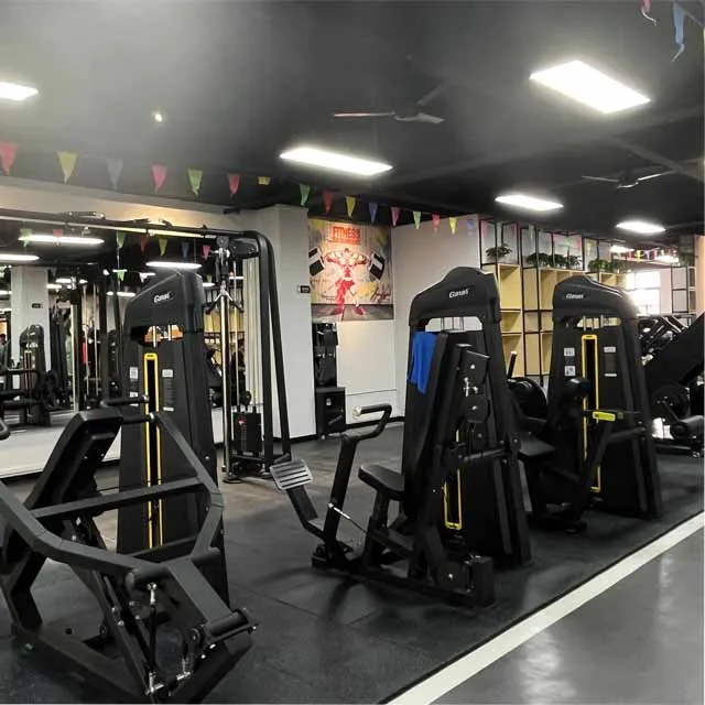 Ganas China Manufacturer Professional Commercial Complete Indoor Gym Club Hotel Fitness Machines Commercial Gym Equipment