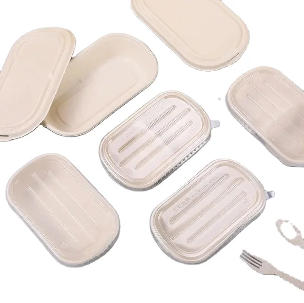 Disposable Bagasse Pulp Food Container Biodegradable Sugarcane Bento Lunch Box With Lid