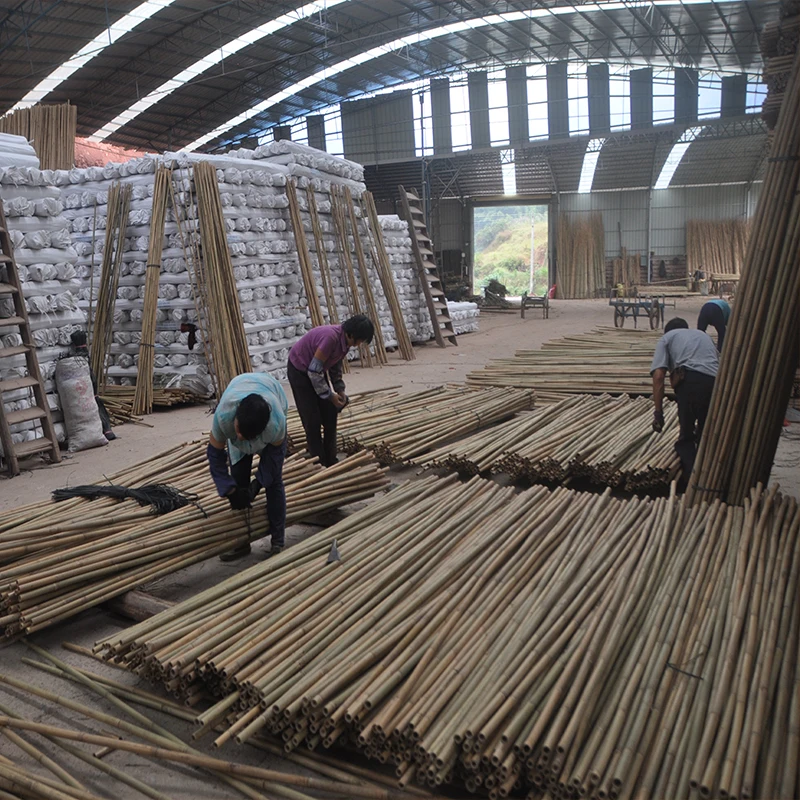 Cheap price Raw Material Bamboo Poles Bamboo Stake