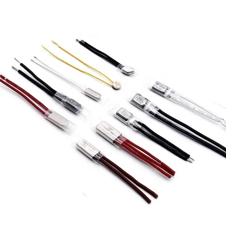 2021 Hot Selling Reasonable Price Thermal Fuse 2A 250V Aupo