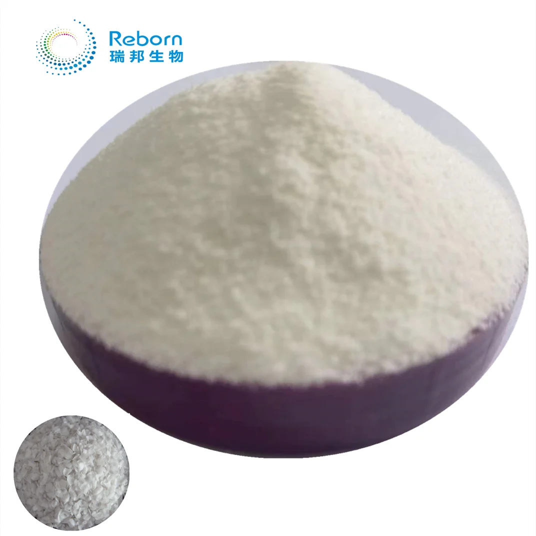 Collagen Peptide Powder Tilapia Scales High Quality Collagen Supplements Food Grade