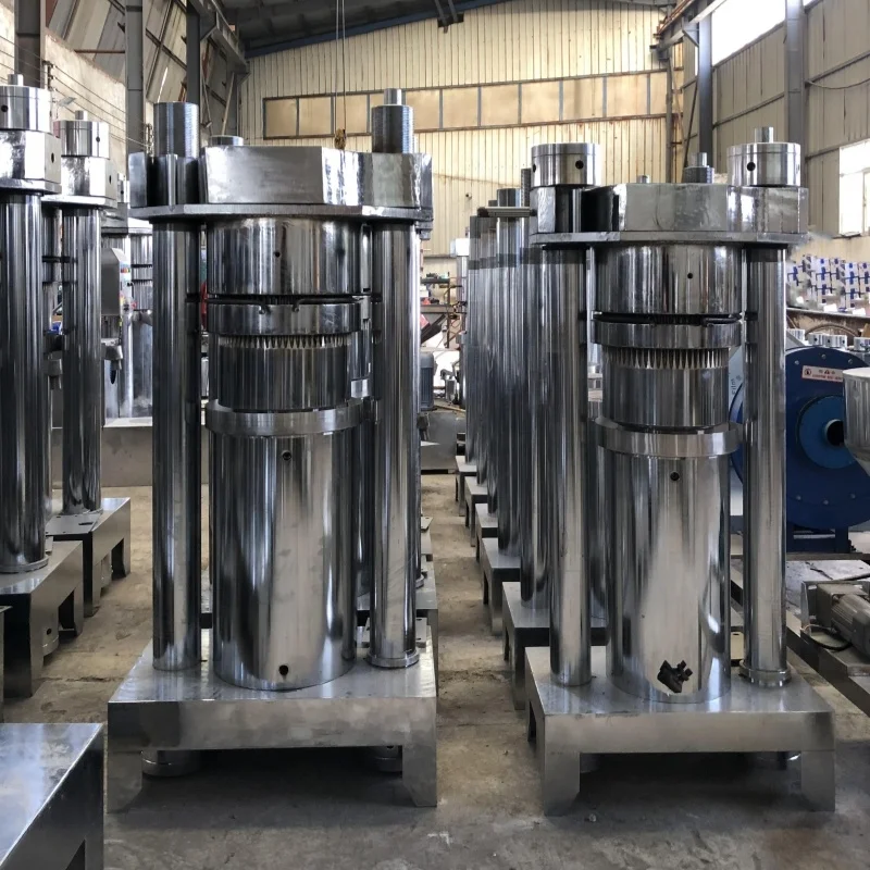 Clean Oil Without Impurities Small Oil Filter Press Machine Sesame Seed Oil Cold Press Machine