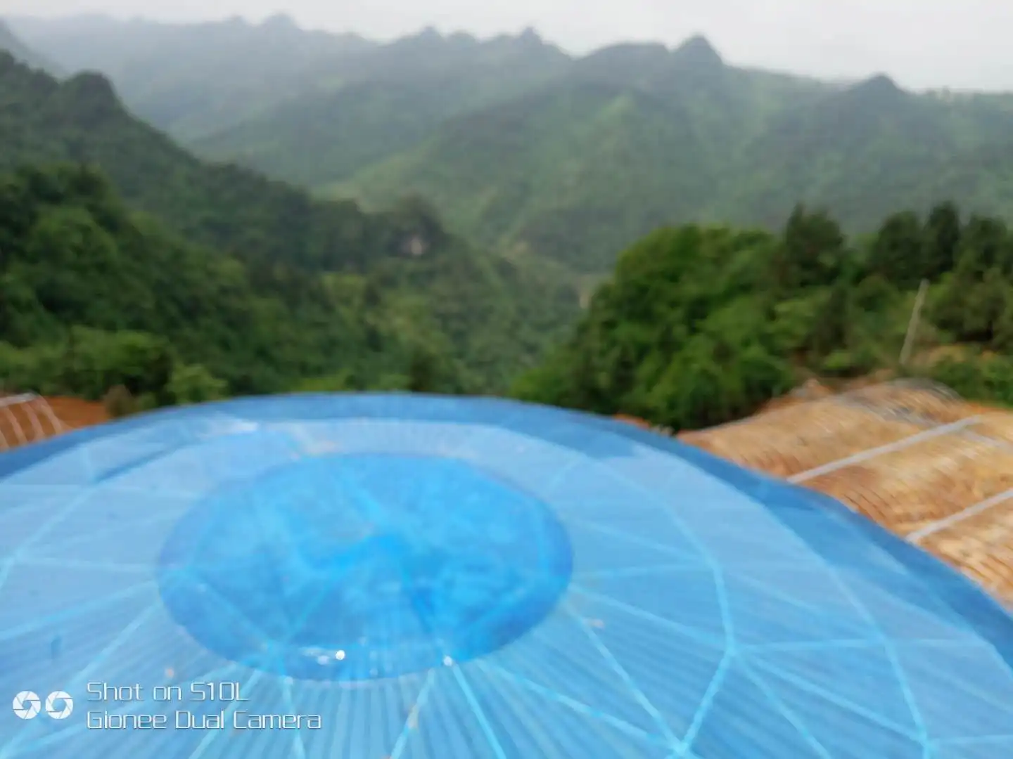 Large Plastic Transparent Dome Tent Agriculture Greenhouse 500m2 Dome House
