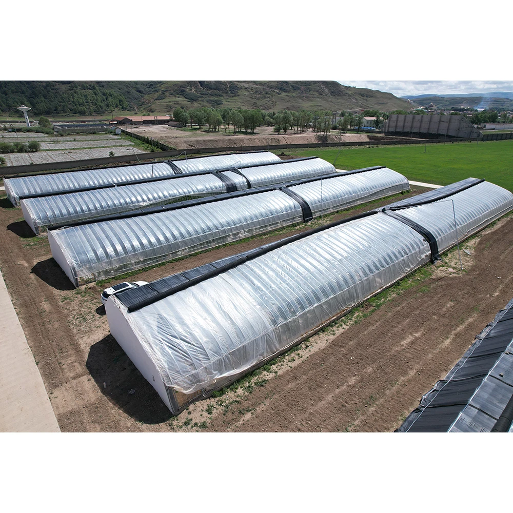 Greenhouse Thermal Insulation Curtain Heating System Energy Solar Passive Greenhouse With Clay Back Wall