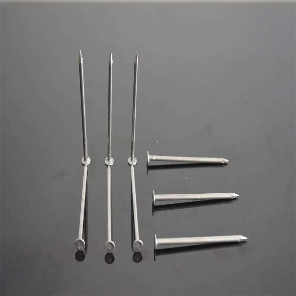 Common nails Iron nail