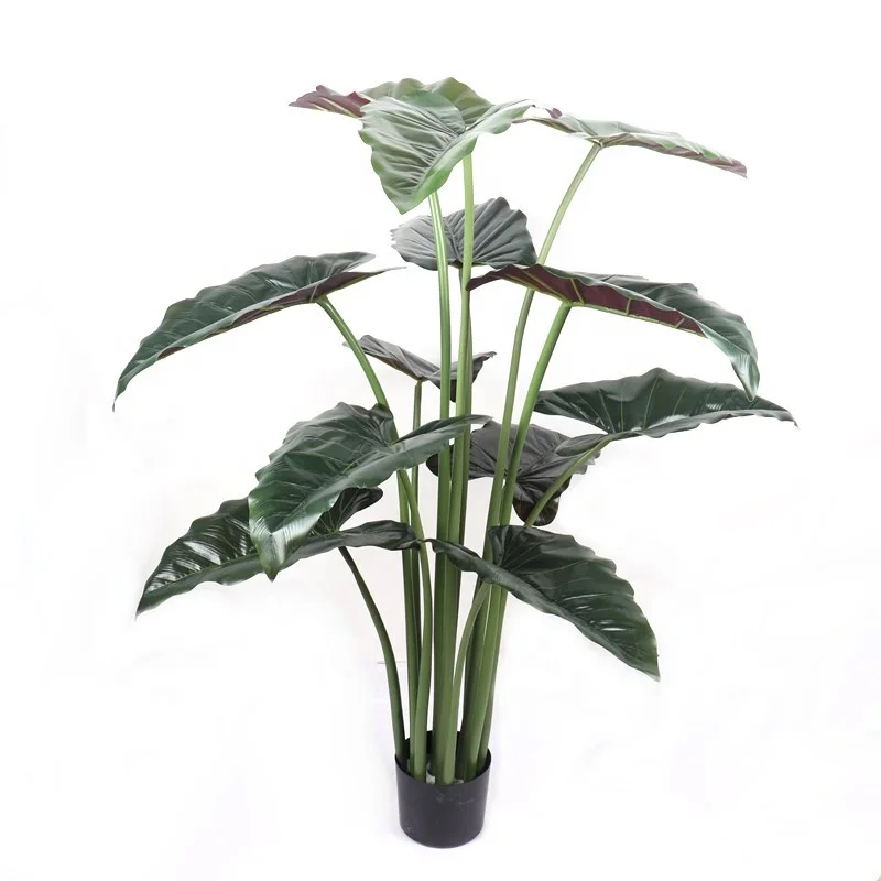 Wholesale For Interior Decoration Large Evergreen Plant Plastic Calla Bonsai Tree