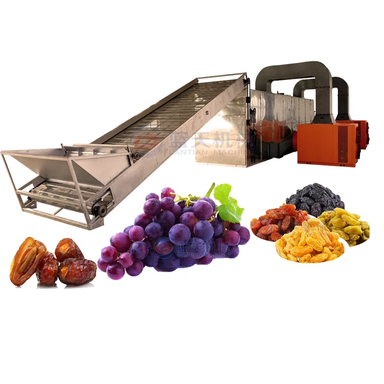 
Mango Dryer And Grape Raisin Fruit Drying Machine 