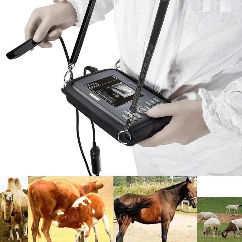Vet ultrasound machine scanner with abdominal probe for pet animals veterinary color doppler ultrasound vet ultrasonic price