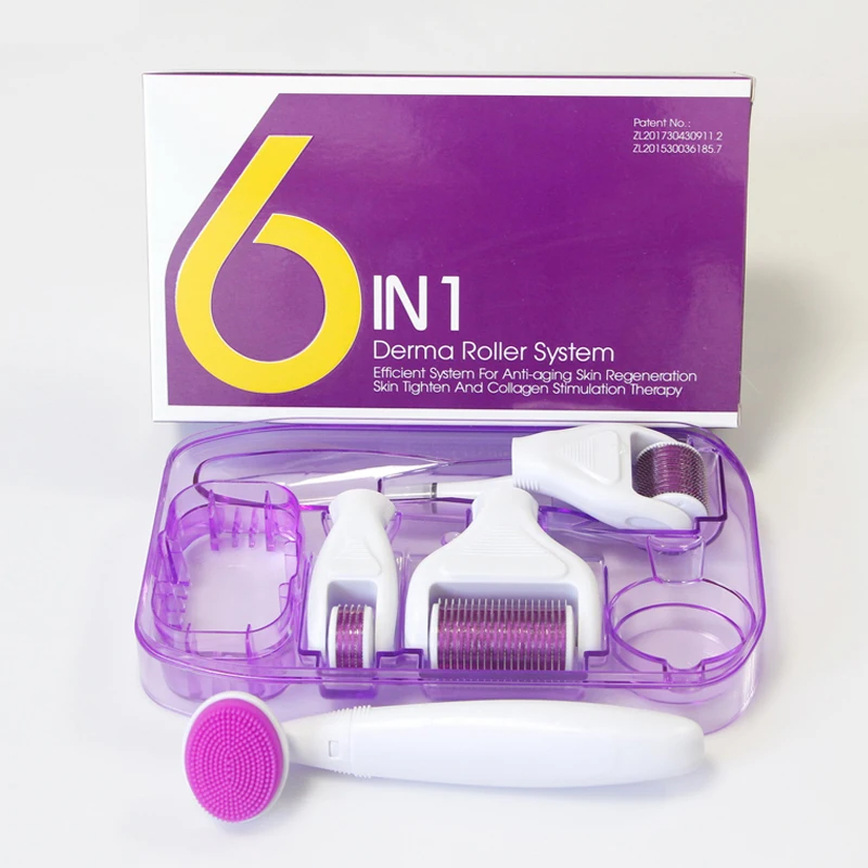 Hot selling 6 in 1 Micro Needle Skin Care Derma Roller Kit 1200 Microneedle Dermaroller For Hair Growth