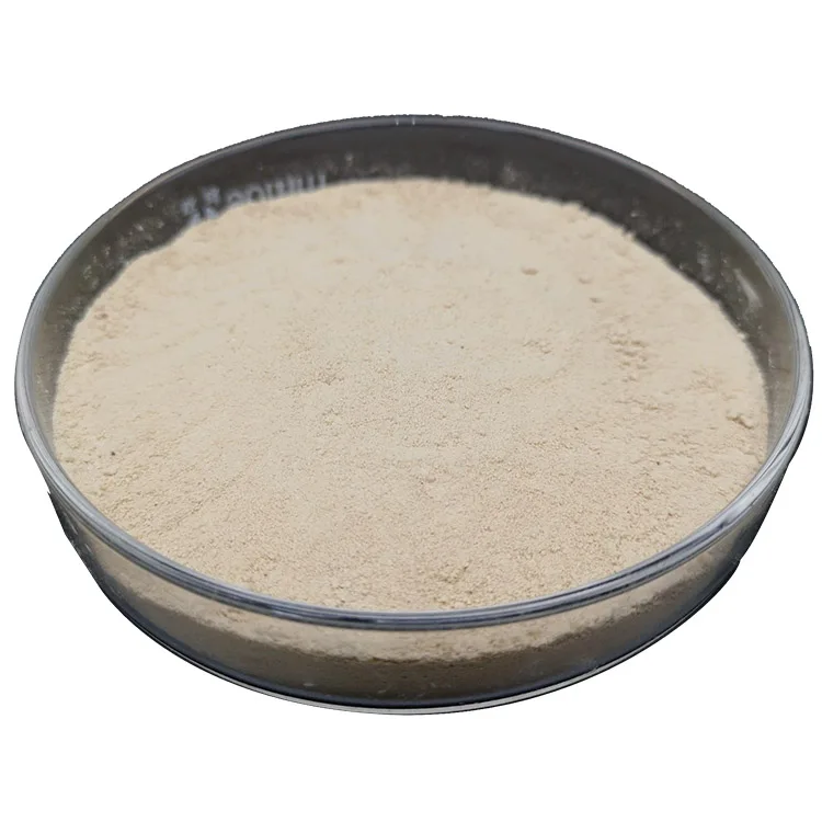 Fertilizer Additives for Sale Organic Products Supplement Advanced Nutrients With Cheap Price 45% feed grade Amino Acid Powder