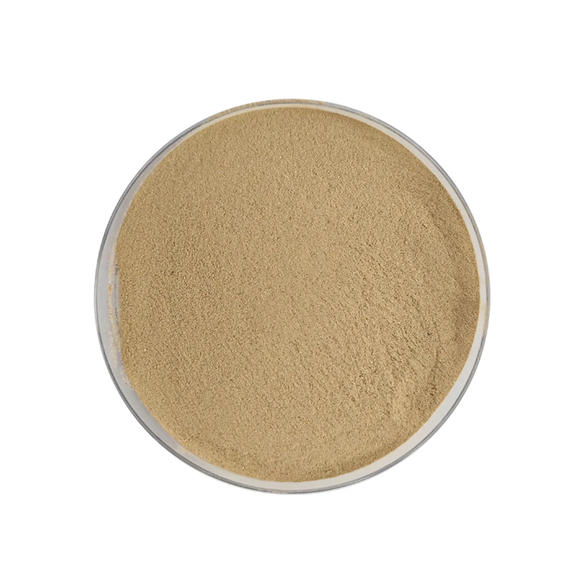 Специализированный производитель пробиотиков, поставка bacillus licheniformis bacillus subtilis