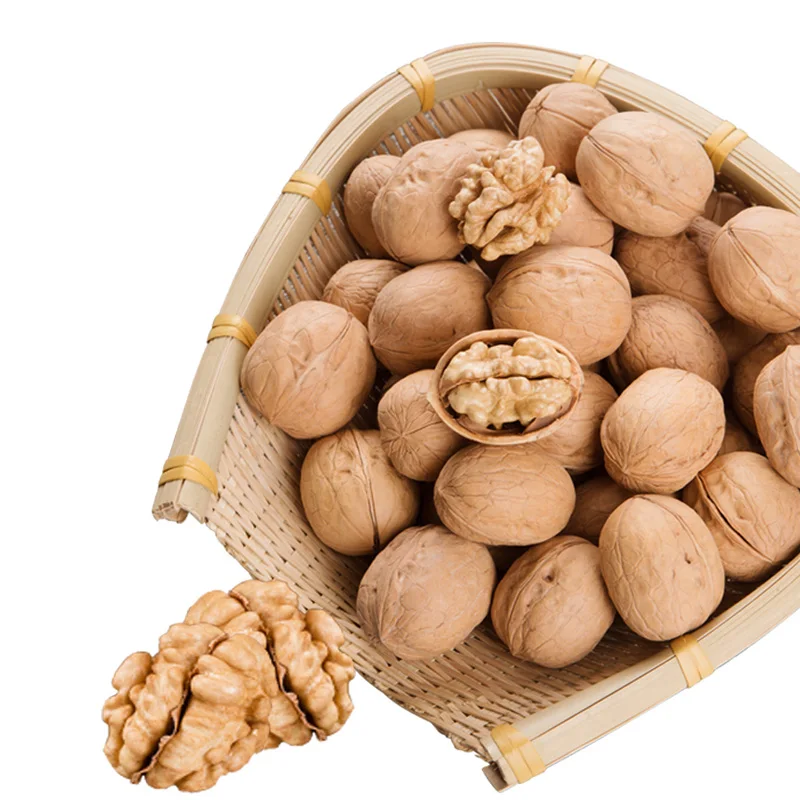 
best price walnuts in shell (dried xinjiang walnut in shell) 