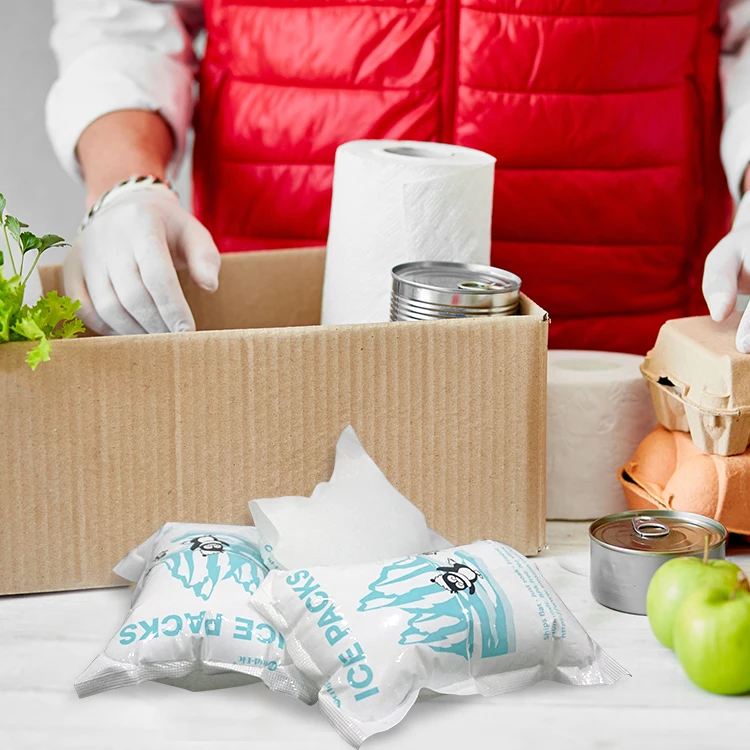 World-bio dry ice packs sheet for shipping frozen food self absorb water ice pack sheet for coolers