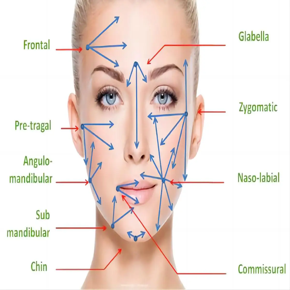 The green Blunt fill needle with filter with CE ISO 510K in High quality