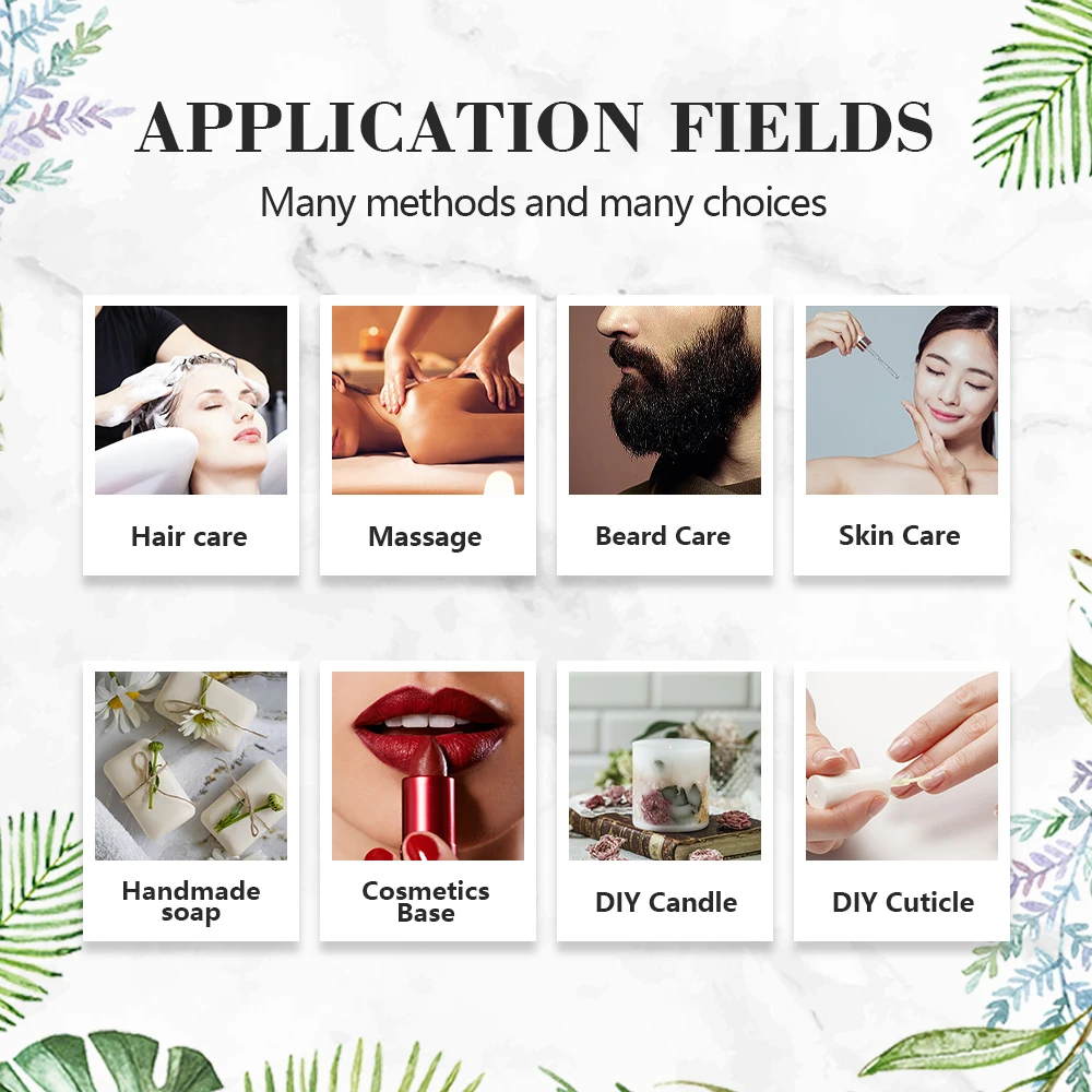 Organic Camellia Oleifera Seed Oil For Hair - 100% Pure Natural Chinese Tea Seed Cold Pressed | Bulk Price 1kg