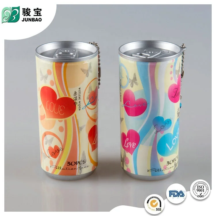 Cheap Price Disposable Wet Wipes Factory Custom Logo Packing Canister Wipe for Students Wet Wipes with Key Chain