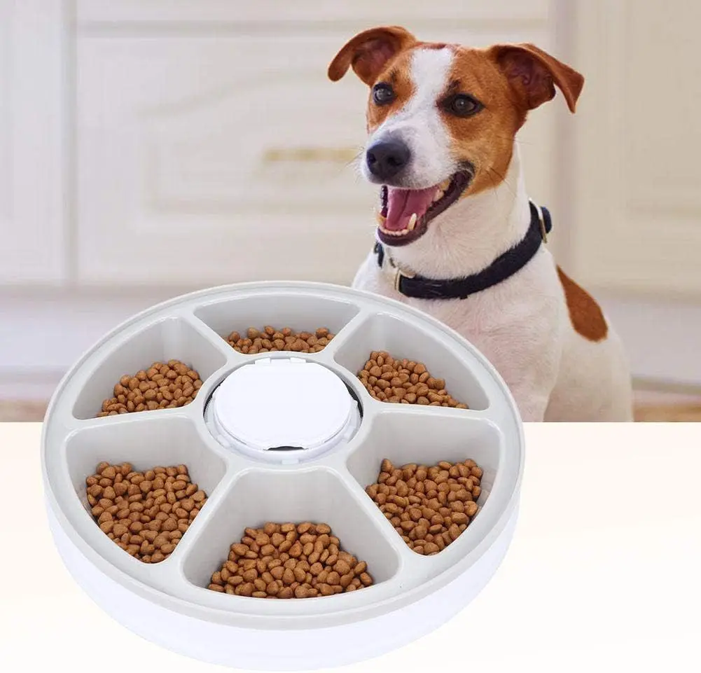 A mazon hot Auto Smart Electronic Adjustable Five Meal Tray Dispenser Timed Slow Food Water bowl Dogs Cats Automatic Pet Feeder
