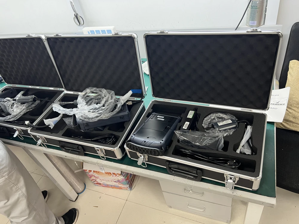 S1 vet ultrasound 08.jpg