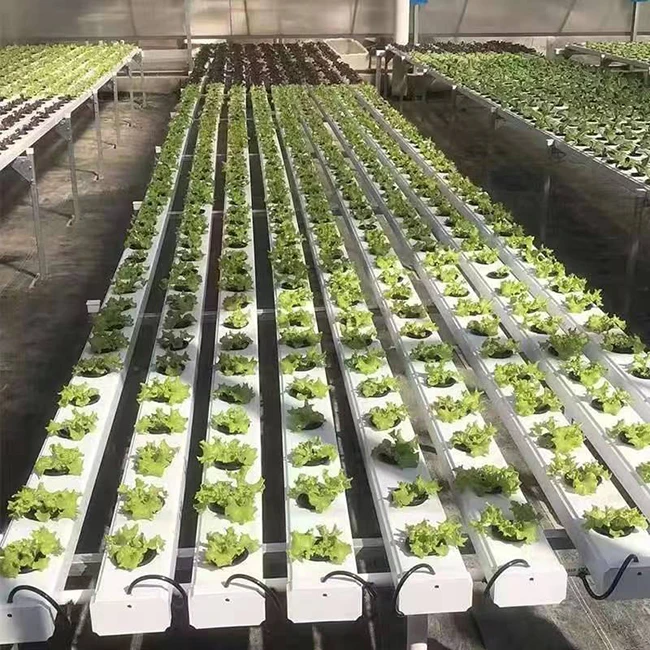 smart farm Planting pvc 50mm nft channel hydroponics vertical automated indoor leafy vegetables hydroponics system