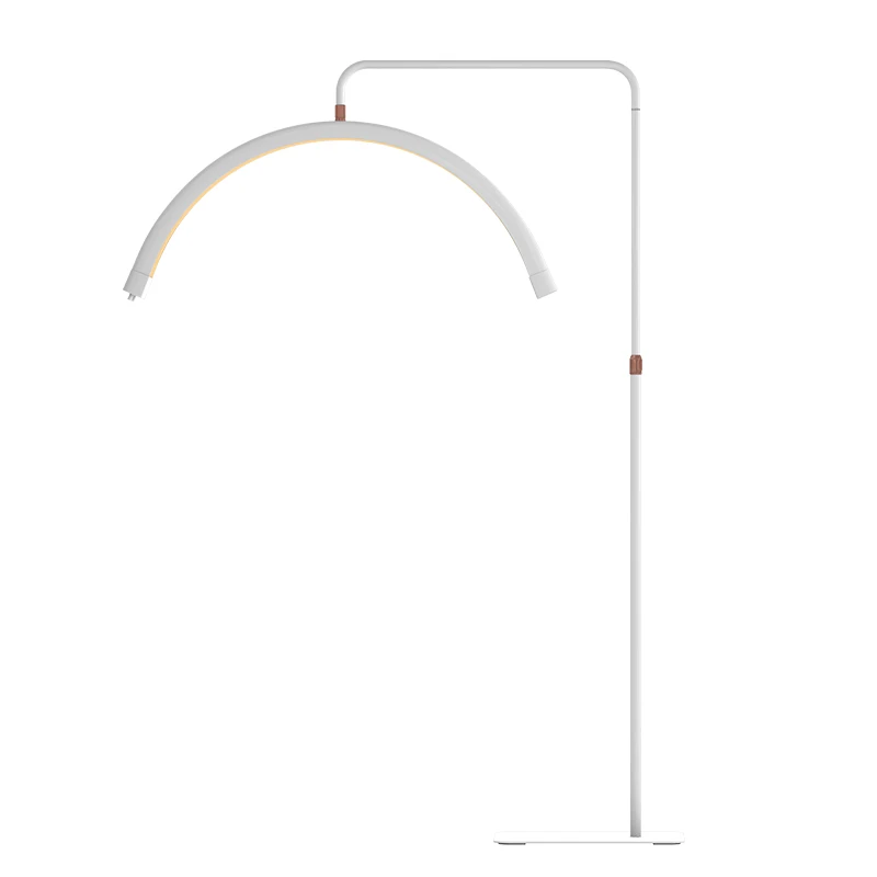 New Arrival 40w Bicolor Half Ring Beauty Fill Lamp Led Moon Lash Light For Eyelash Extension Eyebrow Makeup U-shaped Lamp