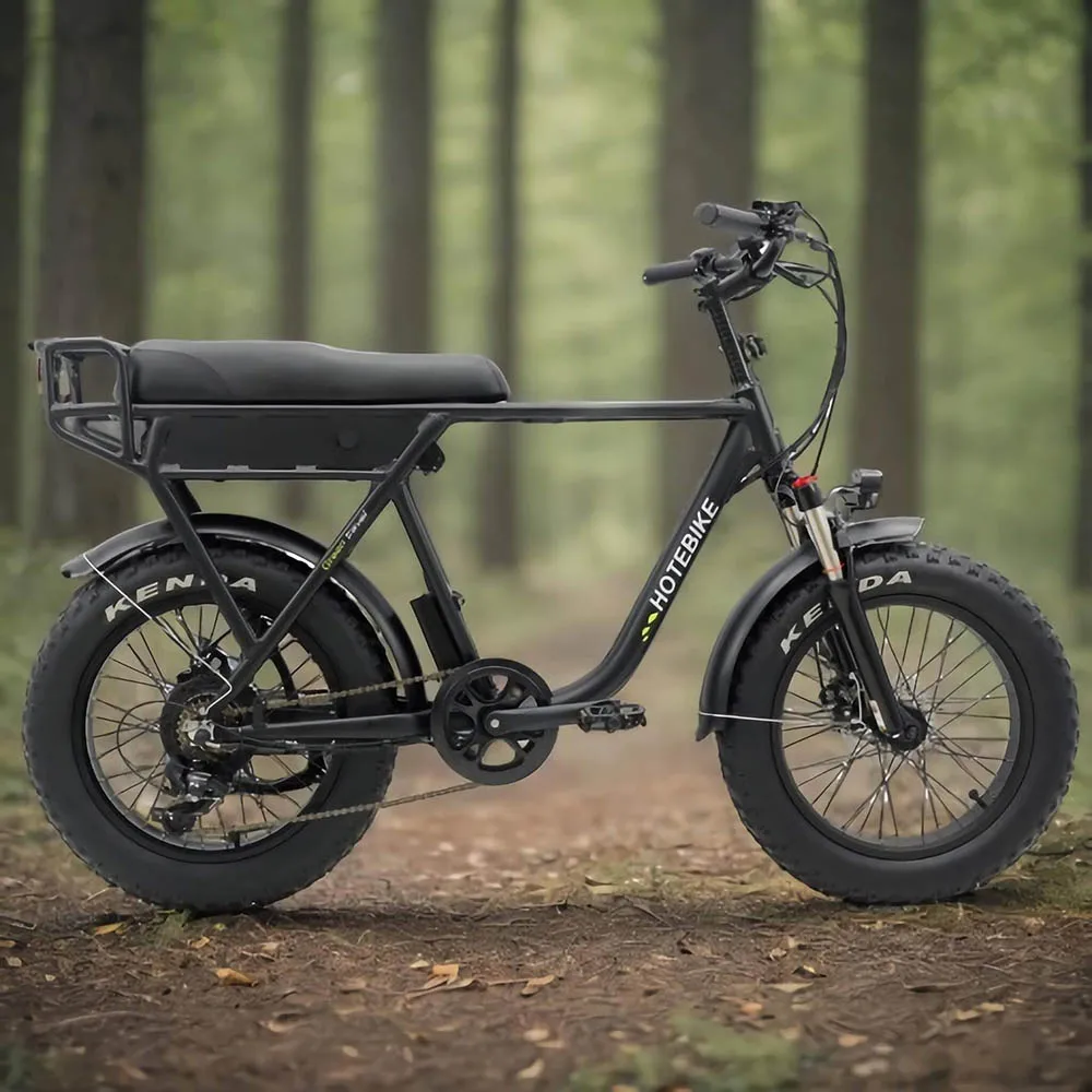 Fat Tire Electric Bike 48V 500W/750W Ebike City Offroad Motorcycle Style Electric Bicycle 100km/h Electric Bike