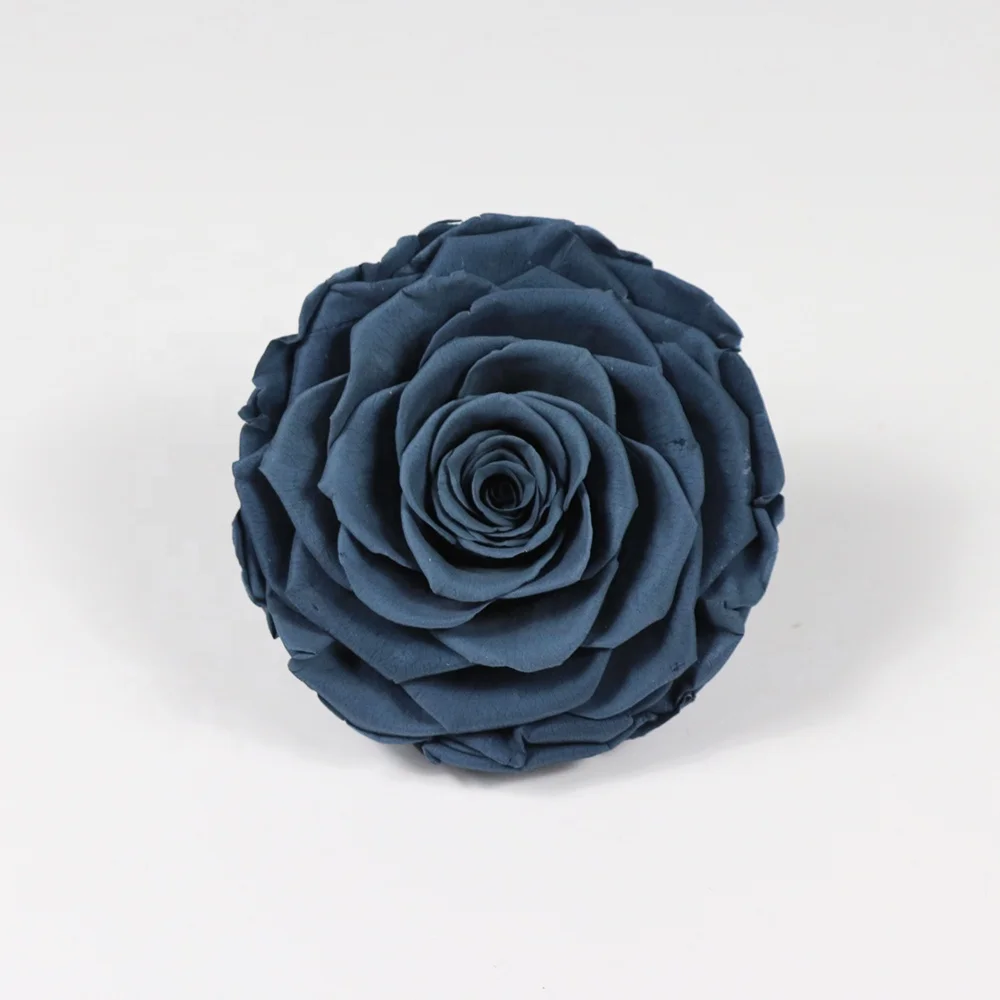 2021 New Style Big  9-10 cm Rose Real Fresh Romantic Beautiful  Preserved Rose Wholesale dried roses flowers