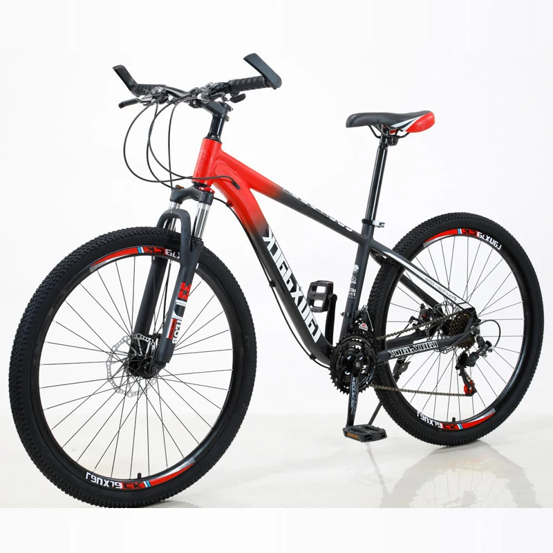 Custom Mountain Bike With Full Suspension MTB Frame Cycling 26 27.5 29 Fully Alloy Philippine Money