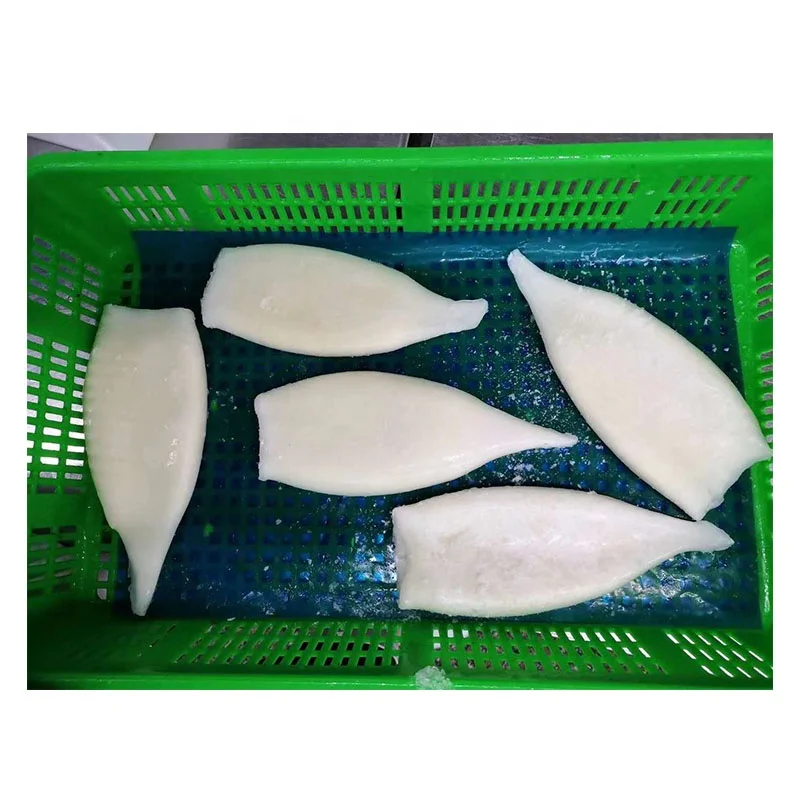 Frozen IQF squid tube good quality good price
