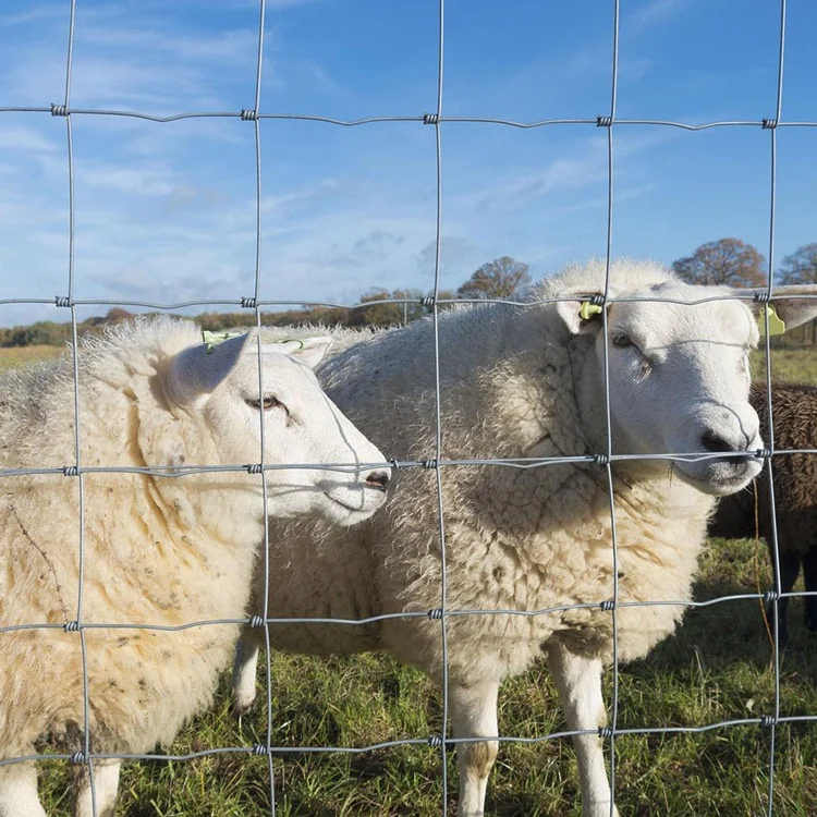 Low Maintenance Farm Animal Livestock Fence Hot Dip Finishing Steel Iron Frame for Secure Enclosure of Horses Sheep Cattle