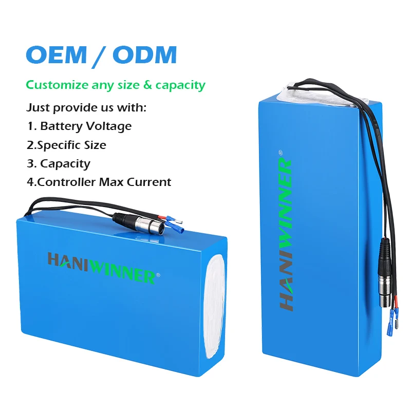 Custom Electric Bike Battery Case 18650 Cells 24V 36V 48V Lithium Ion Battery Pack For Ebike