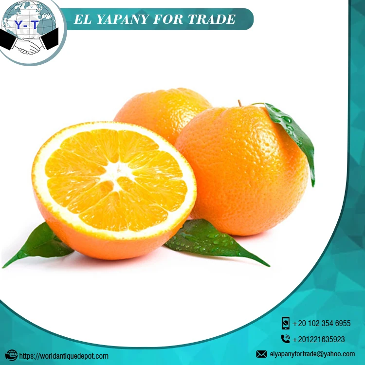 
Fresh Citrus Orange Fruit 