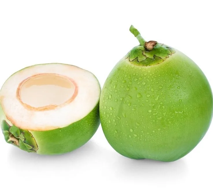 
Best sale Fresh Young Coconut Wholesales whole Green husk Tropical OEM Sweet Vietnam Packing Pulp Color Weight Eco Pieces 