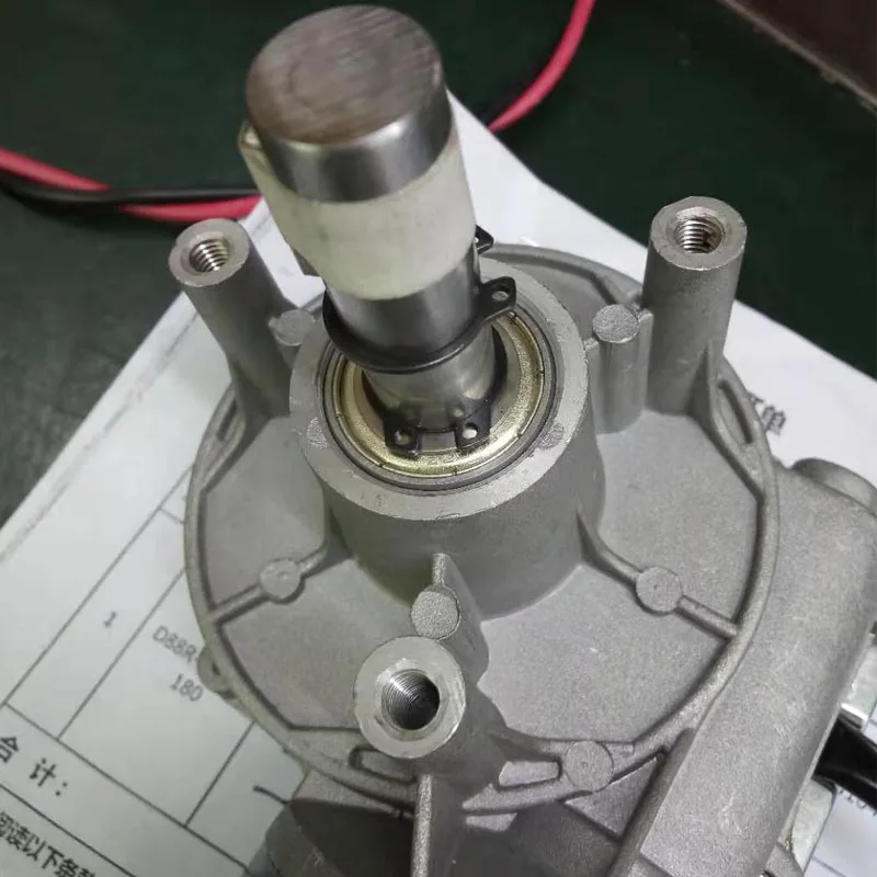 Custom-Made 12V High Torque 200Kg Worm Gear 24V 350W Dc Motor with Optical Encoder