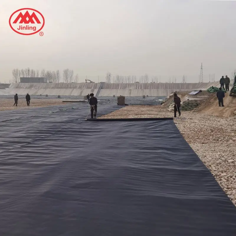 Impermeable Azolla Geomembrane Pondliners China Manufacturer Zhonglu